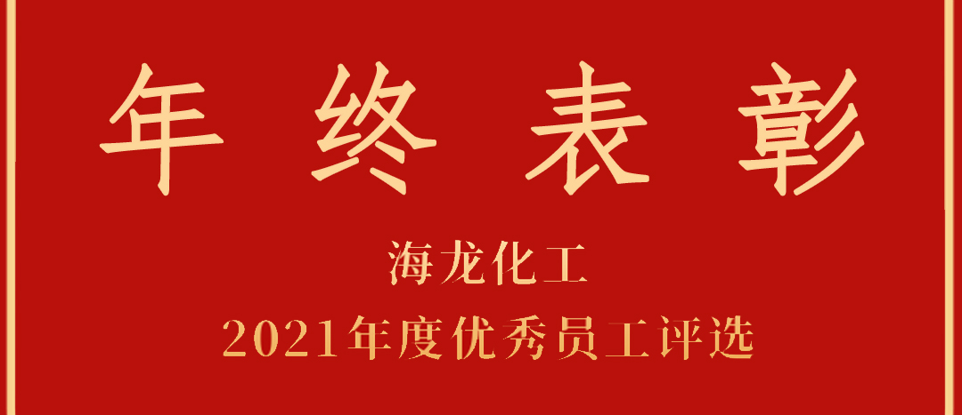 <strong>表彰！海龍化工2021年度優(yōu)秀員工優(yōu)秀部門評選</strong>